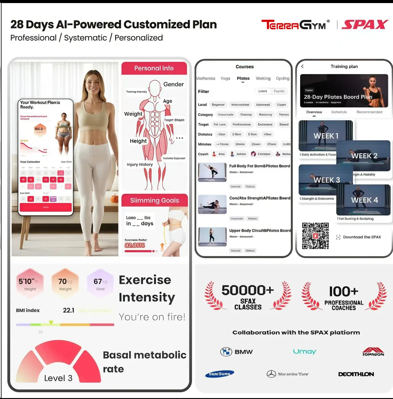 Terragym Pilates Board — Multifunctional, Foldable Home Pilates Training Board with Knee Pads, Timer, and Resistance Bands, Specifically Designed as a Core Strength Trainer and Abdominal Exercise Equipment #Summervibes